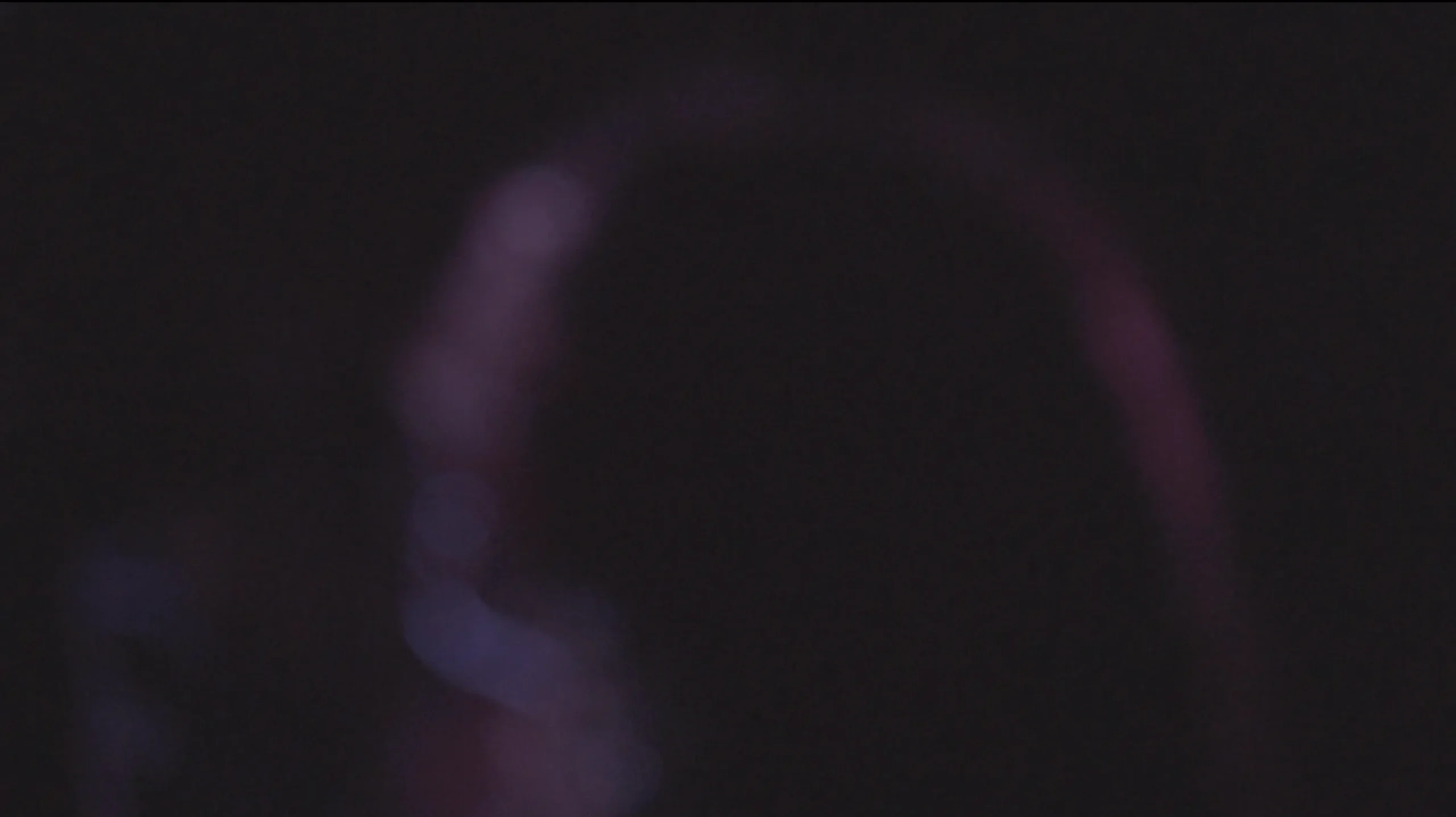 Still from ActFem