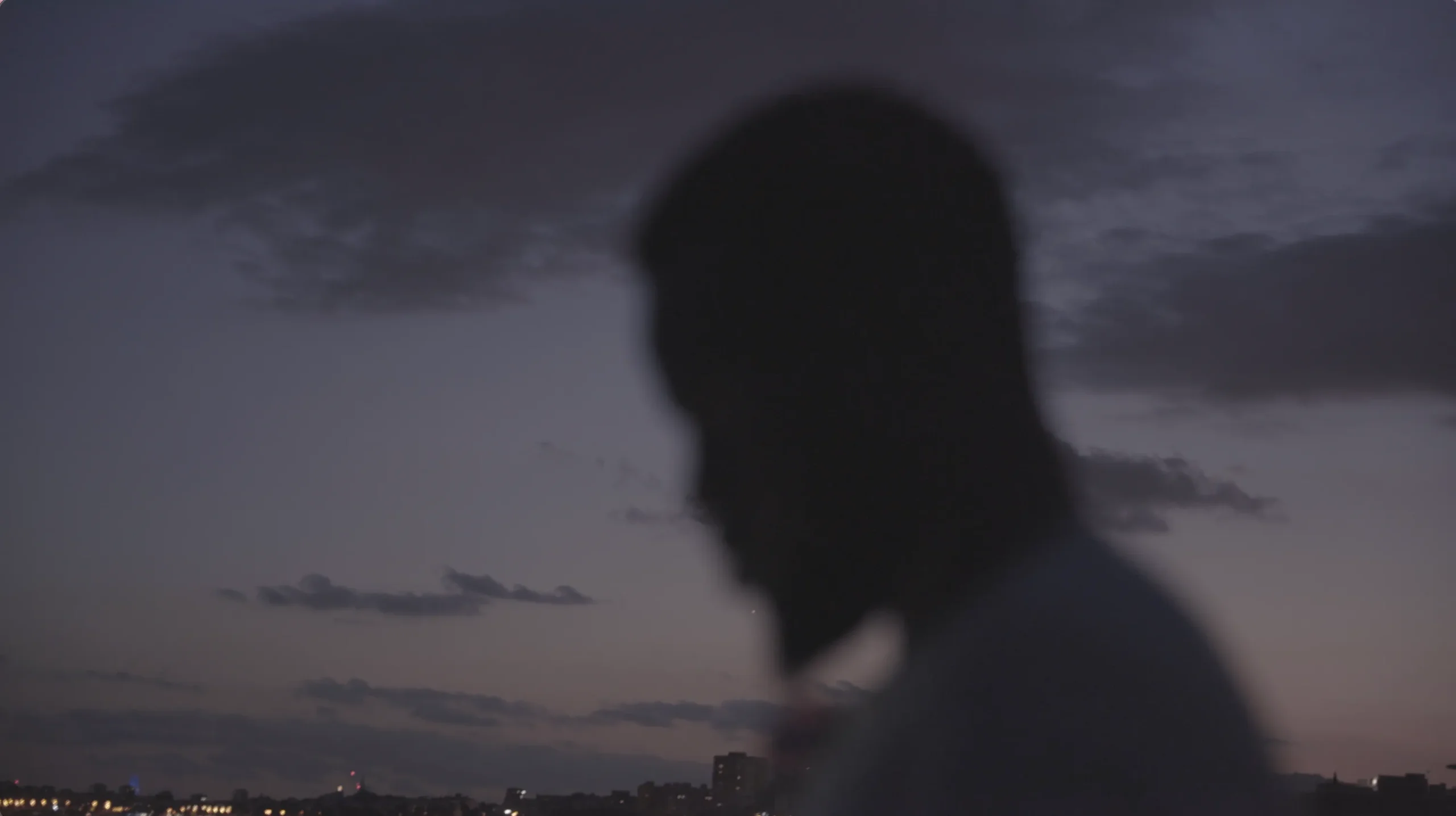 Pape in silhouette against the dusk sky over Barcelona — Entre Deux Eaux