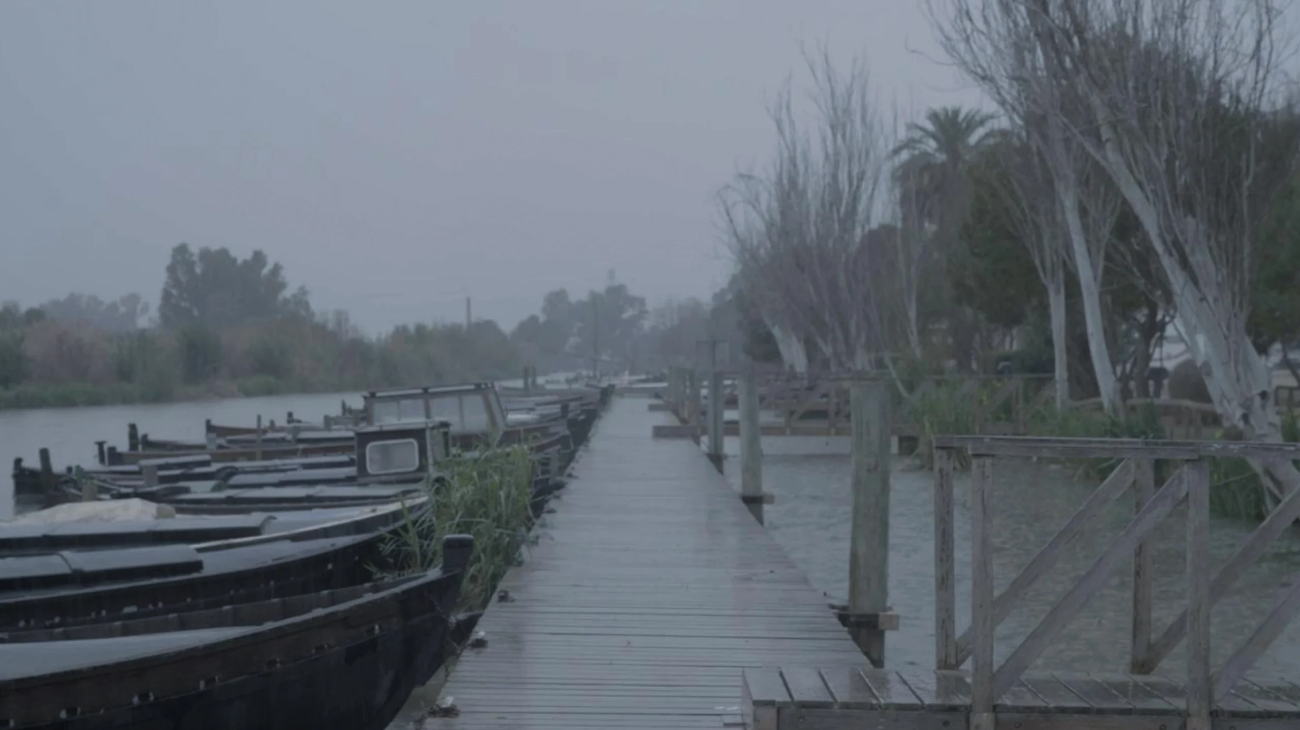 Wooden boats moored along a wet jetty in the rain — L’Aigua Recorda